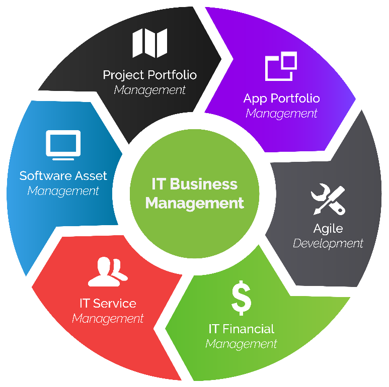 it business management overview