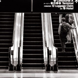 Agile Framework: Growing Pains and Progress