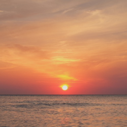 The Unlikely Decline of Offshore Testing