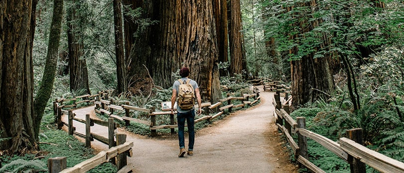 ServiceNow SPM: Top 5 Most Common Starting Points