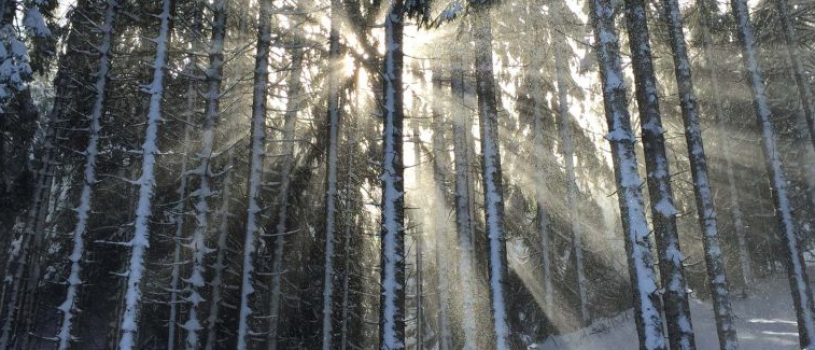 Top 4 Reasons to Try HPE Agile Manager Today!