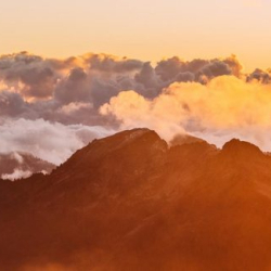 Quality Assurance’s Role in Security Testing is Growing