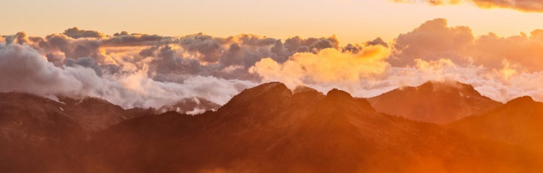 Quality Assurance’s Role in Security Testing is Growing