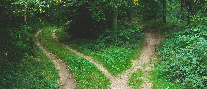 Streamlining Resource Allocation: Comparing ServiceNow’s Classic and Next Experience Solutions