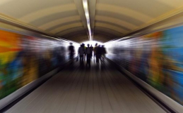 Running HPE ALM.NET and ALM.Octane in Parallel